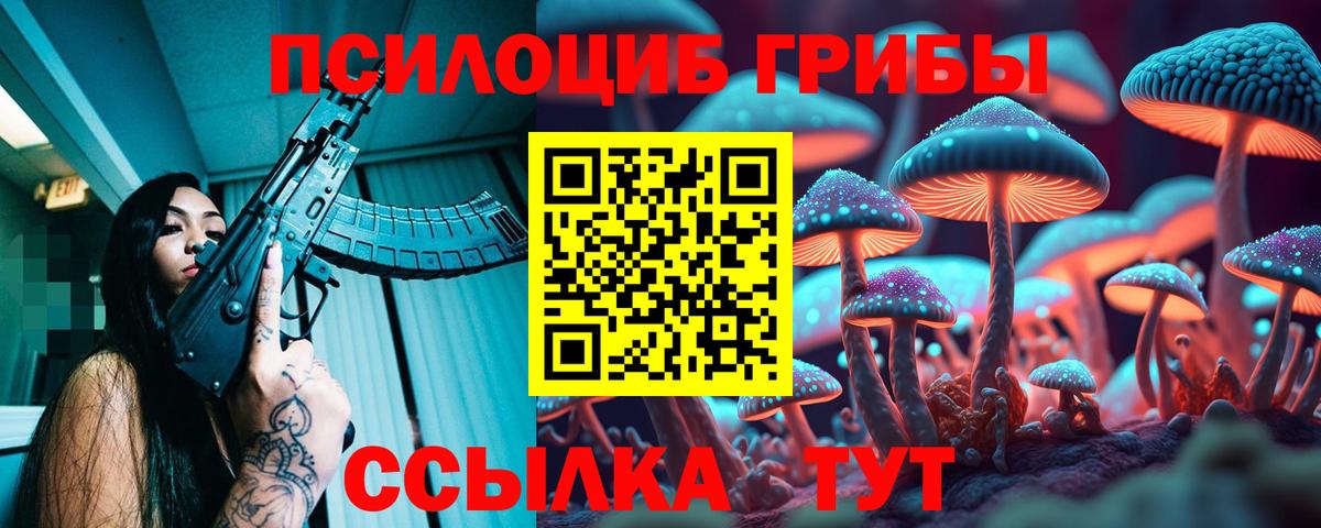 Псилоцибиновые грибы Psilocybe  Псилоцибиновые грибы GOLDEN TEACHER  Вход с VPN  Можга 